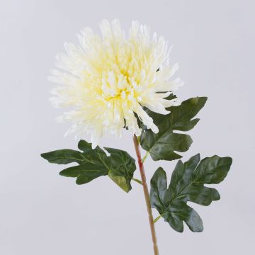 Künstliche Chrysantheme HIKJON, creme-weiß, 75cm, Ø18cm Künstliche Chrysantheme HIKJON, creme-weiß, 75cm, Ø18cm