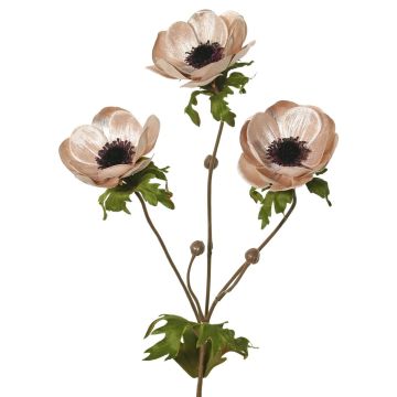 Samt Anemone Zweig WINFAS, zartrosa, 75cm, Ø9-11cm