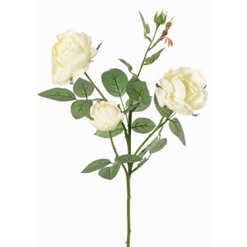 Rosenzweig künstlich DIAMANTIS, creme, 70cm, Ø5-8cm Rosenzweig künstlich DIAMANTIS, creme, 70cm, Ø5-8cm