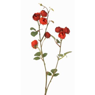 Künstlicher Kohl-Rosen Zweig LORRAINE, Eco Collection, rot-orange, 60cm, Ø3cm Künstlicher Kohl-Rosen Zweig LORRAINE, Eco Collection, rot-orange, 60cm, Ø3cm