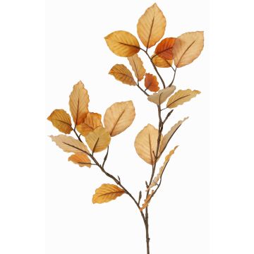 Deko Zweig Buche LOPERDY, hellbraun, 70cm