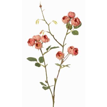 Künstlicher Kohl-Rosen Zweig LORRAINE, Eco Collection, altrosa, 60cm, Ø3cm
