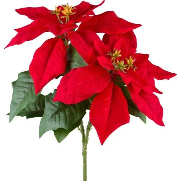 Kunstzweig Weihnachtsstern FRIMBEL, rot, 30cm Kunstzweig Weihnachtsstern FRIMBEL, rot, 30cm