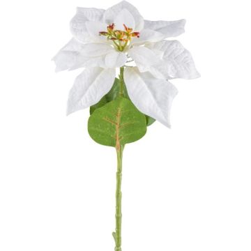 Kunstblume Weihnachtsstern JORTI, weiß, 60cm Kunstblume Weihnachtsstern JORTI, weiß, 60cm