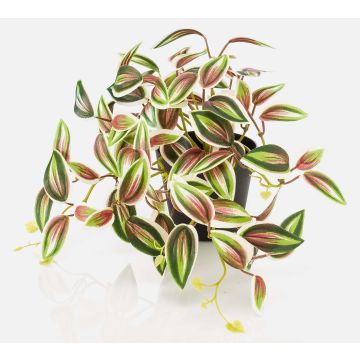 Kunstpflanze Tradescantia zebrina DIHALLO im Dekotopf, grün-rot, 19cm