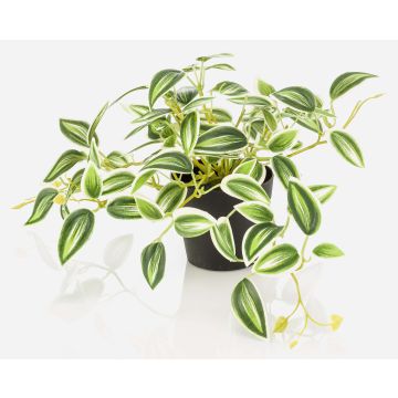 Kunstpflanze Tradescantia zebrina DIHALLO im Dekotopf, grün-weiß, 19cm