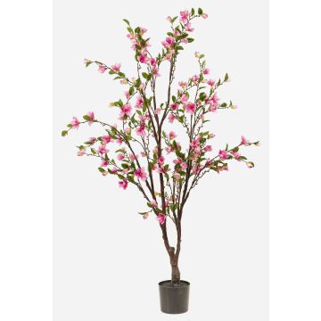 Magnolienbaum künstlich JINKFUN mit Blüten, Kunststamm, rosa, 170cm