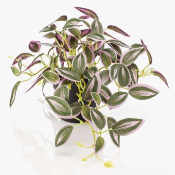 Kunstpflanze Tradescantia zebrina DIHALLO im Dekotopf, grün-lila, 19cm