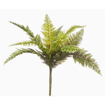 Kunstpflanze Boston Farn BARIAN auf Steckstab, grün, 50cm Kunstpflanze Boston Farn BARIAN auf Steckstab, grün, 50cm