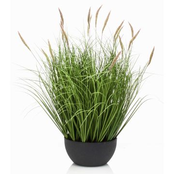 Lampenputzergras künstlich WALERIAN in Dekoschale, mit Rispen, grün, 60cm