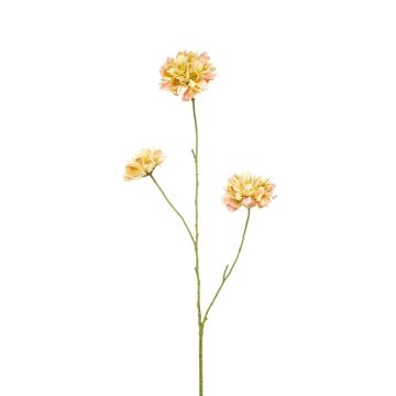 Deko Zweig Scabiosa DIHALLY, gelb-pfirsich, 80cm