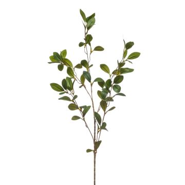 Deko Zweig Mäusedorn LOVRIS mit Blüten, grün-gelb, 90cm