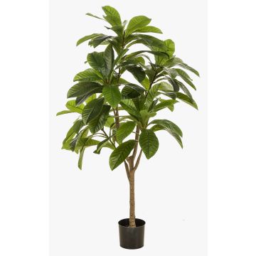 Kunstbaum Frangipani MORSHA, Kunststamm, grün, 145cm