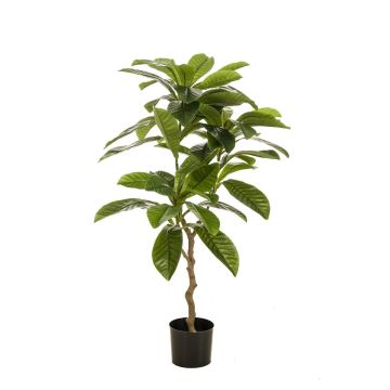 Kunstbaum Frangipani MORSHA, Kunststamm, grün, 110cm