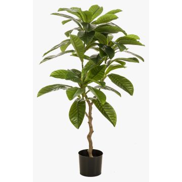Kunstbaum Frangipani MORSHA, Kunststamm, grün, 110cm