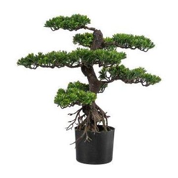 Künstlicher Baum Bonsai Teepflanze KEFIEL mit Wurzeln, 75cm