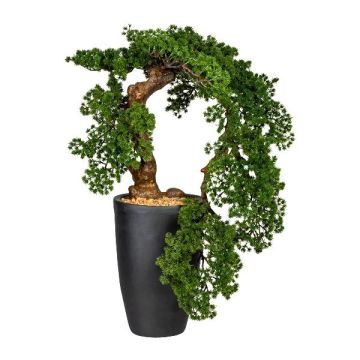 Deko Baum Bonsai Lärche WAMENA im Magnesiatopf, 90cm
