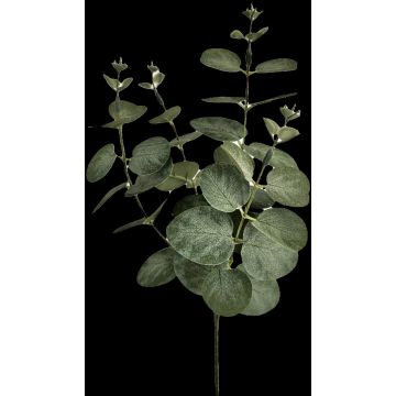 Eukalyptus Kunstzweig ERINDALS, grün-grau, 60cm