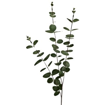 Eukalyptus Kunstzweig ERINDALS, grün-grau, 90cm