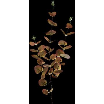 Eukalyptus Kunstzweig ERINDALS, grün-burgunderrot, 90cm