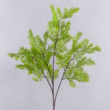 Deko Zweig Thuja BIRLAF, grün-gelb, 85cm Deko Zweig Thuja BIRLAF, grün-gelb, 85cm