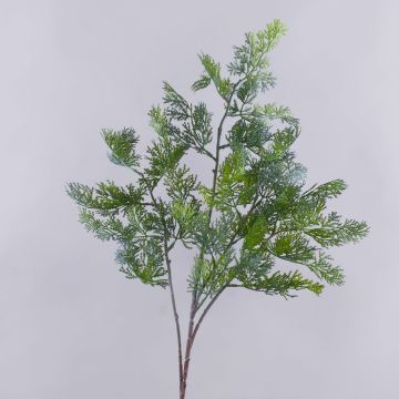 Deko Zweig Thuja BIRLAF, grün-grau, 85cm Deko Zweig Thuja BIRLAF, grün-grau, 85cm