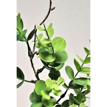 Kunstzweig Eukalyptus NEKFAR, grün, 70cm