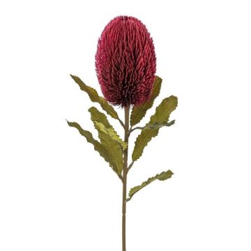 Kunstblume Banksia robur BRAGEK, burgunderrot, 65cm
