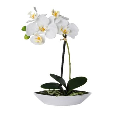 Kunst Phalaenopsis Orchidee ORWAN, Dekoschale, Wurzeln, weiß, 30cm