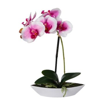 Kunst Phalaenopsis Orchidee ORWAN, Dekoschale, Wurzeln, weiß-lila, 30cm
