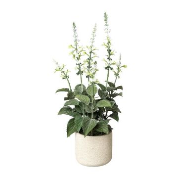 Dekokraut Salbei FURNES im Dekotopf, weiß, 45cm