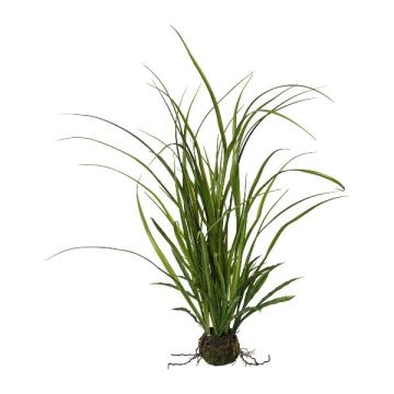 Kunstgras Schilfgras JOLPA im Erdballen, Wurzeln, grün, 55cm Kunstgras Schilfgras JOLPA im Erdballen, Wurzeln, grün, 55cm