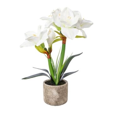 Kunstblumen Gesteck Amaryllis OWELRA mit Gras, Zementtopf, weiß, 40cm Kunstblumen Gesteck Amaryllis OWELRA mit Gras, Zementtopf, weiß, 40cm