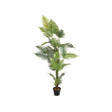 Künstliche Goldfruchtpalme EMELINE, 180cm Künstliche Goldfruchtpalme EMELINE, 180cm