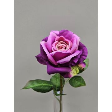Rose künstlich WINAKAS, violett, 35cm, Ø10cm Rose künstlich WINAKAS, violett, 35cm, Ø10cm