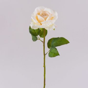 Rose künstlich WINAKAS, creme-aprikose, 35cm, Ø10cm Rose künstlich WINAKAS, creme-aprikose, 35cm, Ø10cm