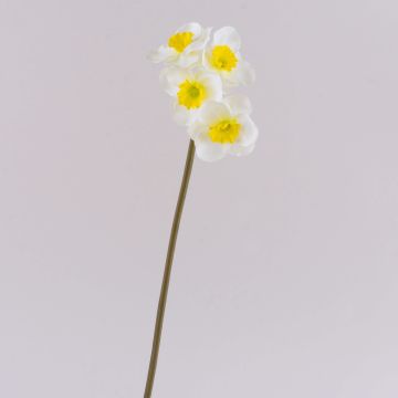 Narzisse künstlich SEPUNY, weiß-gelb, 40cm, Ø6cm Narzisse künstlich SEPUNY, weiß-gelb, 40cm, Ø6cm