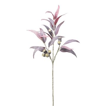 Künstlicher Zweig Eukalyptus GRINTA mit Früchten, aubergine, 85cm Künstlicher Zweig Eukalyptus GRINTA mit Früchten, aubergine, 85cm