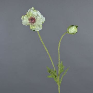Deko Blume Mohnblume MESOP, weiß-grün, 65cm, Ø9cm Deko Blume Mohnblume MESOP, weiß-grün, 65cm, Ø9cm