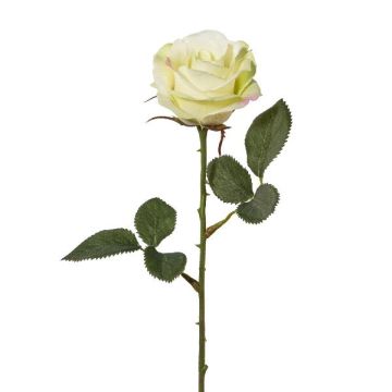 Deko Blume Rose CESOPY, creme-grün, 35cm, Ø6,5cm Deko Blume Rose CESOPY, creme-grün, 35cm, Ø6,5cm