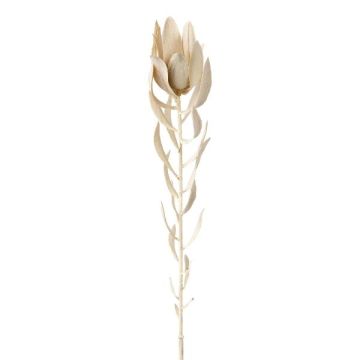 Dekoblume Nadelkissen Protea LAWARE, creme, 75cm