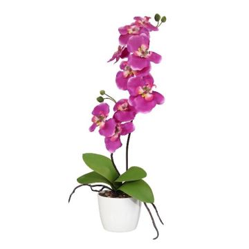Dekoblume Phalaenopsis Orchidee MORLEK, Keramiktopf, Wurzeln, pink, 60cm