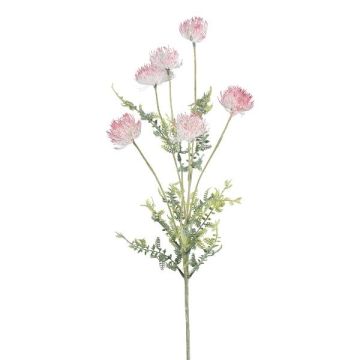 Kunstzweig Silbereiche BREGON, creme-rosa, 80cm