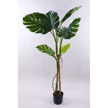 Kunstpflanze Philodendron monstera deliciosa CUNKYN im Dekotopf, 170cm Kunstpflanze Philodendron monstera deliciosa CUNKYN im Dekotopf, 170cm
