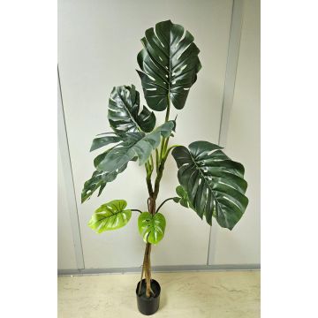 Kunstpflanze Philodendron monstera deliciosa CUNKYN im Dekotopf, 170cm Kunstpflanze Philodendron monstera deliciosa CUNKYN im Dekotopf, 170cm
