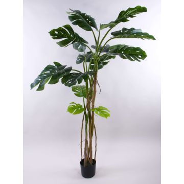 Kunstpflanze Philodendron monstera deliciosa CUNKYN im Dekotopf, 180cm Kunstpflanze Philodendron monstera deliciosa CUNKYN im Dekotopf, 180cm