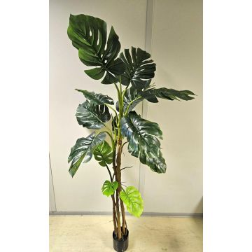 Kunstpflanze Philodendron monstera deliciosa CUNKYN im Dekotopf, 180cm Kunstpflanze Philodendron monstera deliciosa CUNKYN im Dekotopf, 180cm