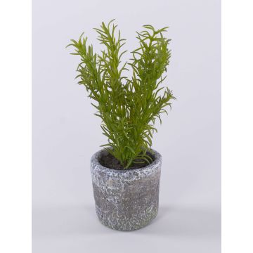 Kunstpflanze Rosmarin POLINDA im Dekotopf, grün, 26cm Kunstpflanze Rosmarin POLINDA im Dekotopf, grün, 26cm