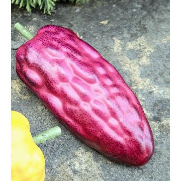 Deko Obst Kakaofrucht FORDIHAN, violett, 13cm