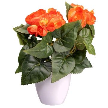 Künstliche Blume Begonie SYLINA, weißer Dekotopf, orange, 25cm